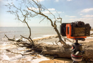 3leggedthing l bracket Suffolk landscape seascape workshop photography trees long exposure